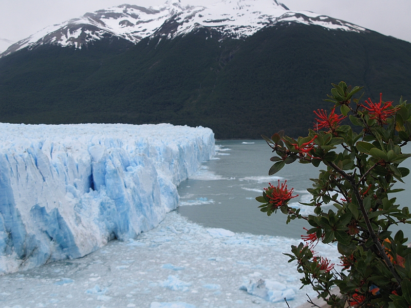 Patagonie 194.jpg